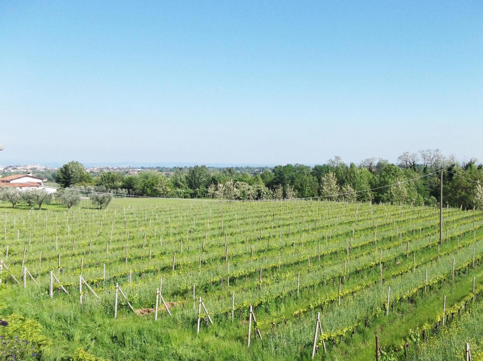 Villa Paradiso Polpenazze del Garda Zewnętrze zdjęcie