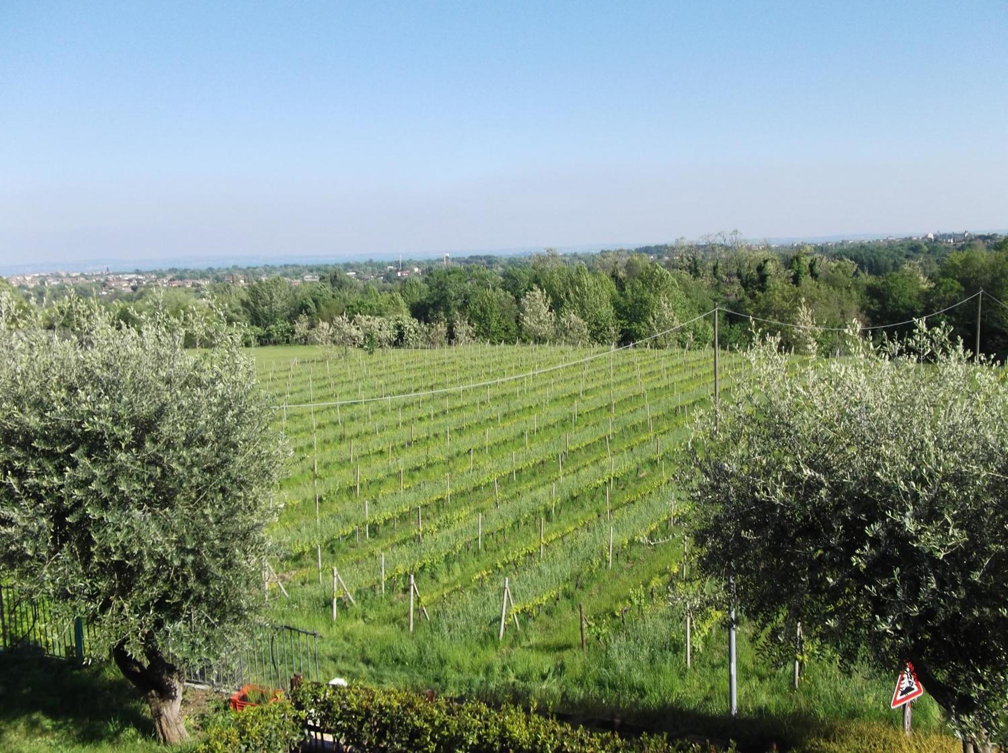 Villa Paradiso Polpenazze del Garda Zewnętrze zdjęcie